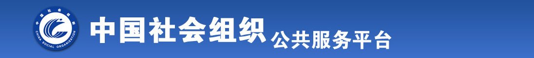 伊人大鸡全国社会组织信息查询